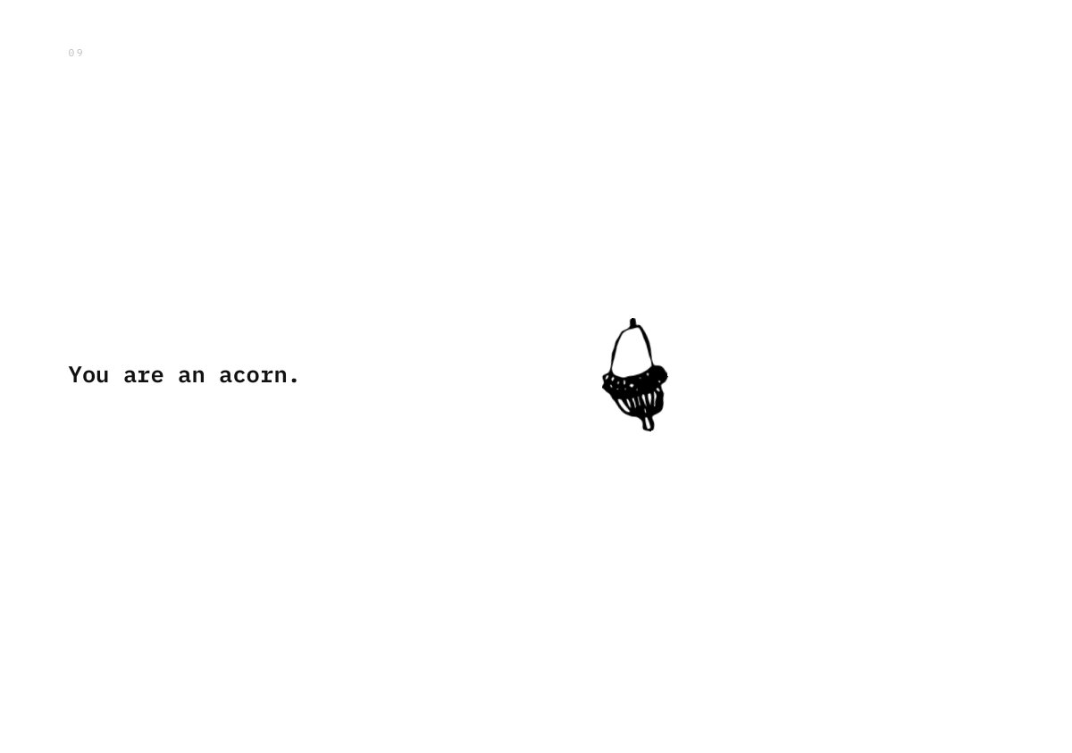 You are an acorn.